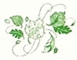 giardiniere in Toscana