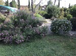 IMG_5046.jpg